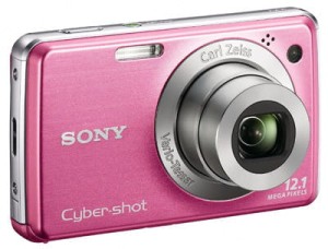 Sony W220